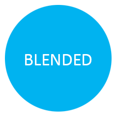 bLENDED logo